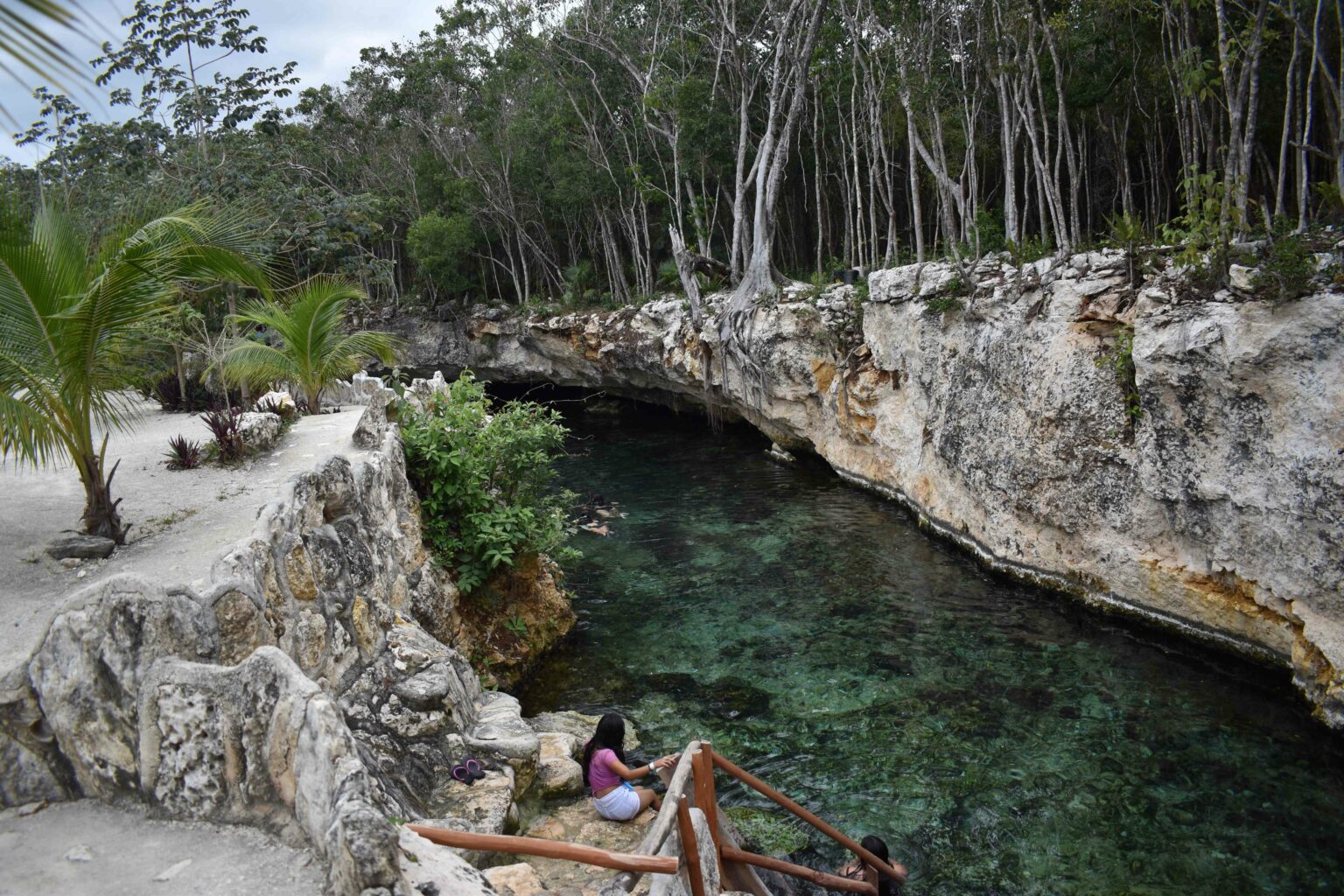 Cenote Casa Tortugas; Enjoy different cenotes in one place. - Unique ...