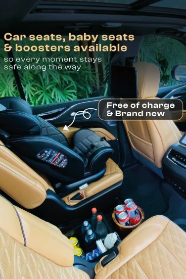 car-seat-unique
