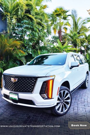 A sleek white luxury SUV is parked on a cobblestone driveway, surrounded by lush green tropical plants, exuding elegance and sophistication. The button reads “Book Now.”